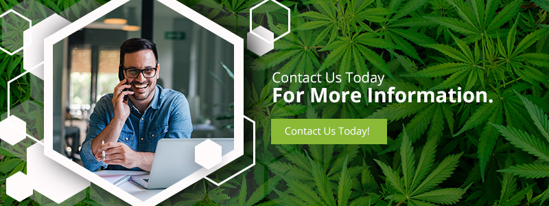 "Contact us today for more information" button