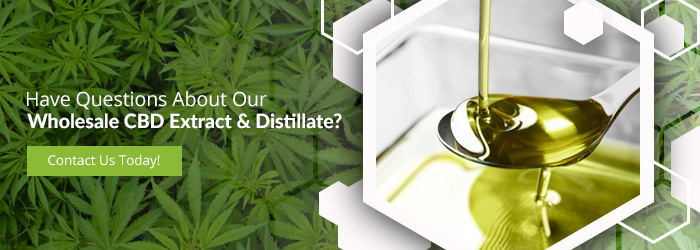 "Have questions about our wholesale CBD Extract & distillate?" button