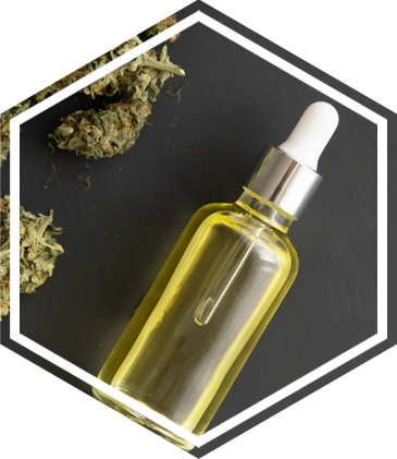 A tincture bottle full of CBD droplets next to hemp buds