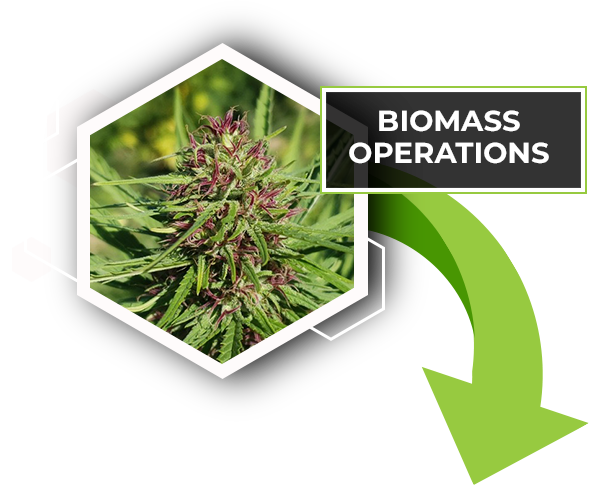 biomass