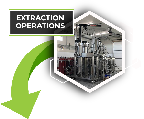 extraction