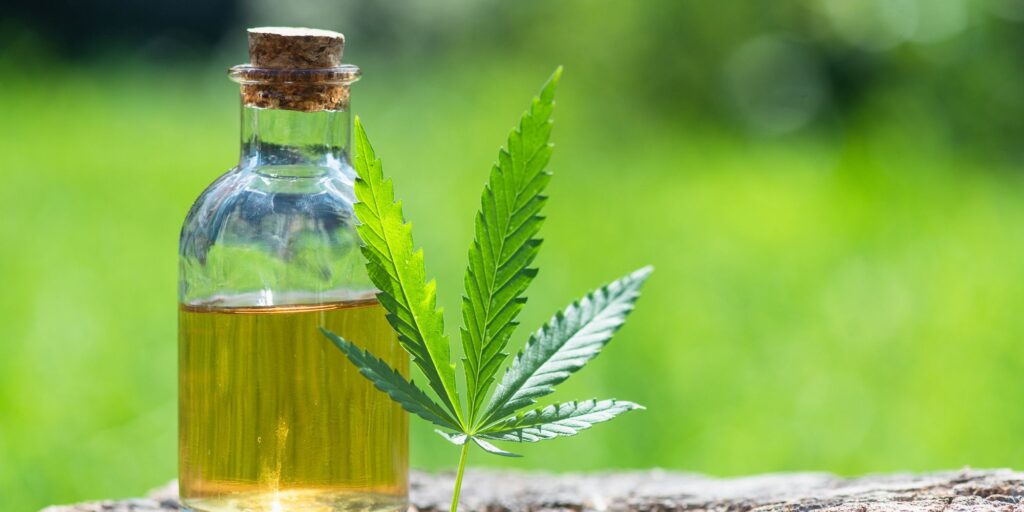 cbd extract