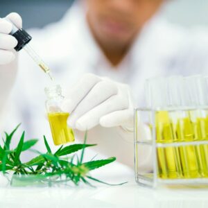 person extracting CBD into a vile