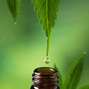 CBD dripping from a leaf into a bottle