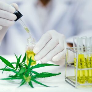 testing CBD products