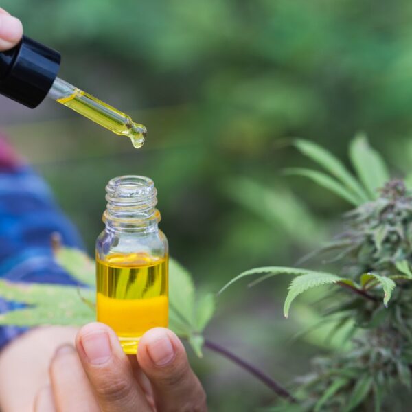 CBD oil with dropper