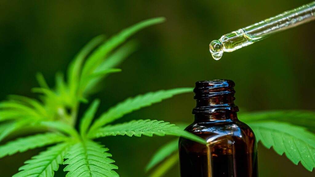cbd oil