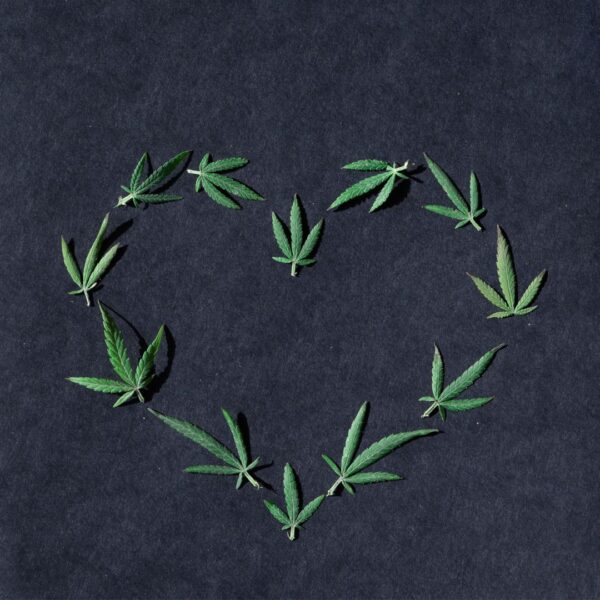 leaves in form of heart
